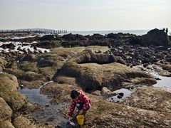 -青岛第二海水浴场