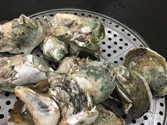 -蚝专家(北滘店)