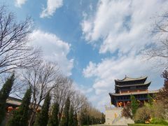 -大槐树寻根祭祖园