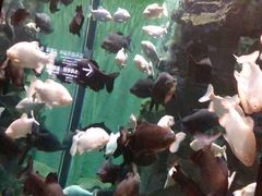 -成都浩海立方海洋公园