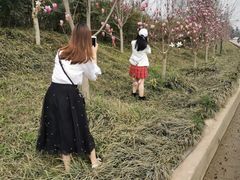 -白鹭湾湿地公园