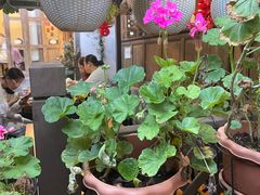 -小厨子私房菜·云南美食店