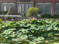 -云龙湖旅游景区