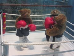 -济州岛泰迪熊博物馆