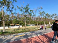 -上海长兴岛郊野公园