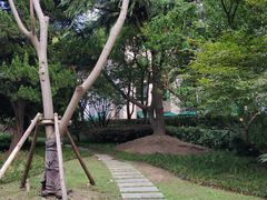 -上海半岛酒店-地下停车场