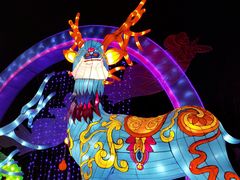 -武汉园博园(武汉自然博物馆)