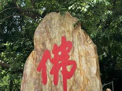 -南国桃园旅游度假区