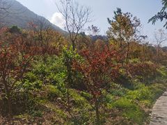 -广州市石门国家森林公园