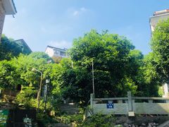 -欣怡茶庄·始于1999(梅家坞店)