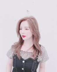 -蚂蚁造型沙龙