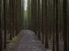 -山王坪喀斯特国家生态公园