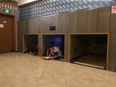 -纽斯桑拿会所(天山店)