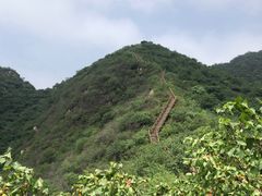 -大岭沟猕猴桃谷风景区