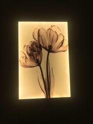 -皙塑美肤·spa