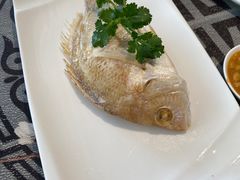 -大浪潮·潮汕菜·招牌生腌小青龙(福田店)