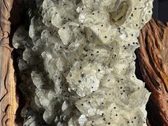 -湖南省地质博物馆