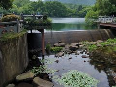 -杭州半山国家森林公园