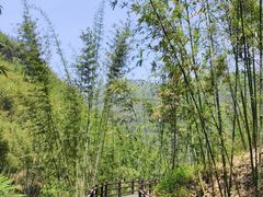 -赤水丹霞旅游区·佛光岩