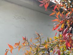 -东山雕花楼