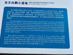 -盐城丹顶鹤湿地生态旅游区