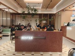 -森茶(湛江万达店)