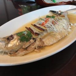 -青岛李沧绿城喜来登酒店·宴会厅