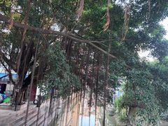 -长洲渡车船码头