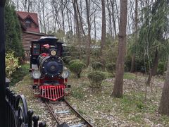 -合肥滨湖国家森林公园