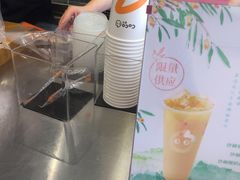 -CoCo都可(广丰月兔广场店)