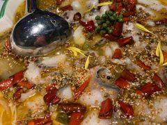 撒椒酸菜鱼-撒椒·四川江湖菜(大族广场店)