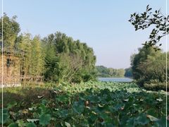 -昆山城市生态森林公园