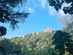 -崂山九水游览区