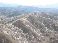 -蟠龙山长城景区