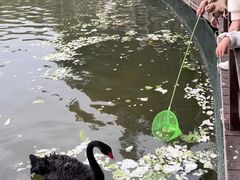 -五缘湾湿地公园