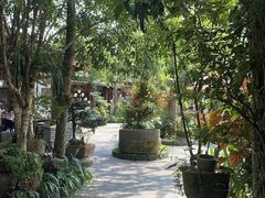 -青城甲(青城山店)