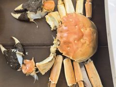 -蟹天蟹地农家菜·阳澄湖大闸蟹(浅水湾店)