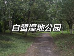-白鹭湾湿地公园