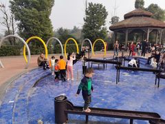 -枫香湖儿童公园