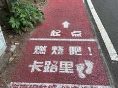 -海南铜鼓岭景区