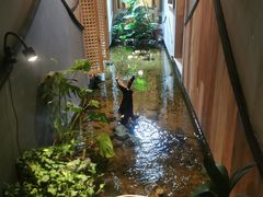 -邈墨茶馆(凤起路店)