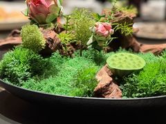 -秀儿四九城·新京菜(亚运村鸟巢店)