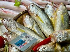 -吴记富苑(朝阳店)