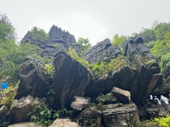 -梭布垭石林景区