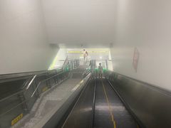 -金厨帽烤鱼(芦庄店)