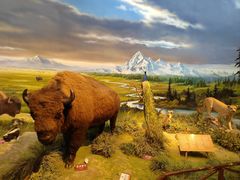 -陕西自然博物馆