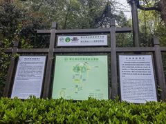 -镇江市南山风景名胜区竹林景区