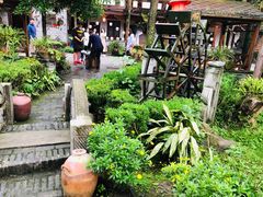 -青城甲(青城山店)