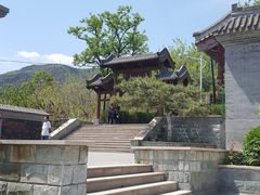 -阳台山自然风景区