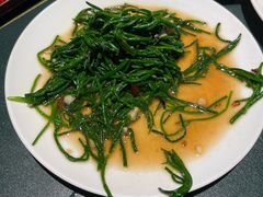 -老阿妈蒙古村·蒙古包·草原文化·歌舞表演(老君堂店)